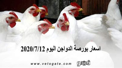 اسعار بورصة الدواجن اليوم 2020/7/12