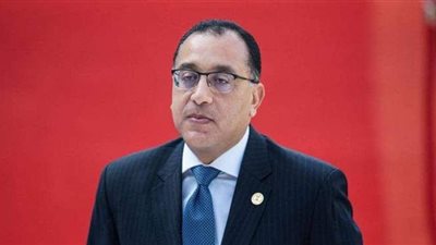 الحكومة تزف بشرى سارة للمصريين العائدين من الخارج ..تعرف عليها