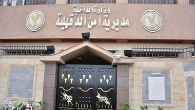 عاطل يعتدي على والديه بالضرب ويطردهما من المنزل تحت تهديد السلاح في الدقهلية