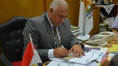 الوادي الجديد تطرح منازل ريفية لشباب الخريجين