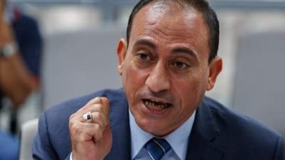 برلماني: تدوير العمالة يوقف نزيف خسائر الشركات والمصانع