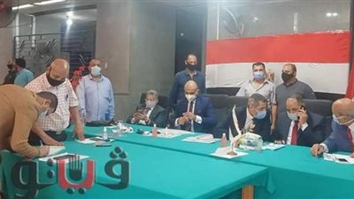 بالأسماء والرموز ..  19 مرشحا لمجلس الشيوخ بالدقهلية