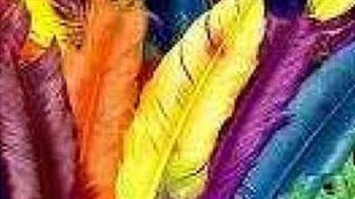 تفسير حلم الريش وعلاقته بالرزق والنجاح في العمل وفشل الحب