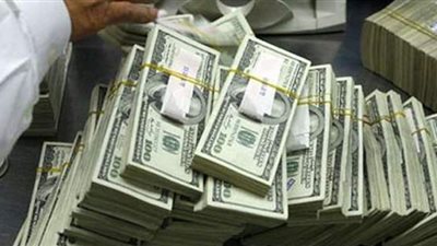 بطريقة ذكية.. سيدة تجني أكثر من مليون دولار