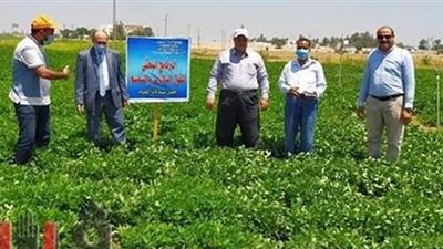 رئيس الحملة القومية للحقول الإرشادية يتفقد محطة  الإسماعيلية الإرشادية