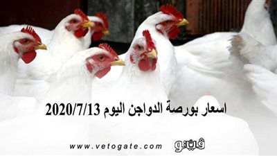 اسعار بورصة الدواجن اليوم 2020/7/13