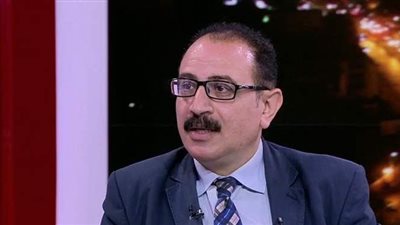 محلل سياسي يكشف تداعيات انقسام الوفد وحماة الوطن