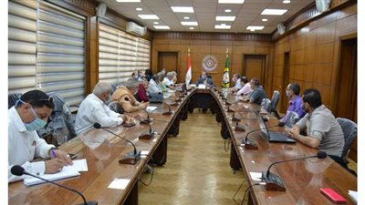 تنفيذ محور مروري جديد في الدقهلية بتكلفة ٥٠ مليون  جنيه