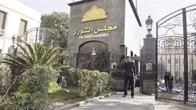 3 متقدمين جدد يتقدمون بأوراق ترشحهم لمجلس الشيوخ بمحكمة بنها