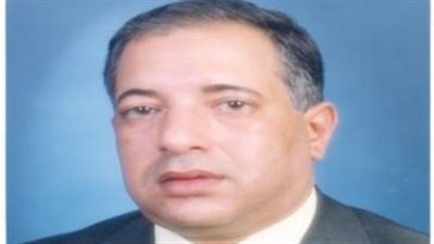 تعيين رضا عبد المعطي نائبا لرئيس هيئة الرقابة المالية