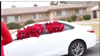 بالفيديو.. رد فعل فتاة فاجأها حبيبها بـ1000 وردة لطلب الزواج منها