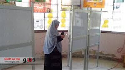 إقبال محدود من المواطنين على لجان 