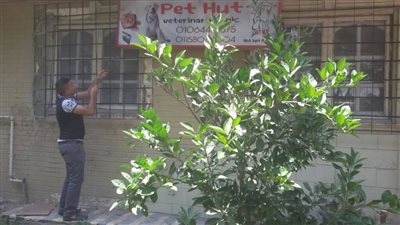 بالصور.. قطع المرافق عن وحدات تجارية مخالفة بالمعادي