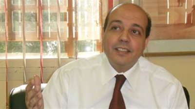 أبو الخير: الانتخابات واجب وطني ومصر تمر بلحظة فارقة