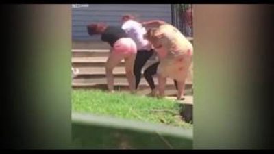 بالفيديو.. كلاب تشارك في مشاجرة بين سيدات بأمريكا الشمالية