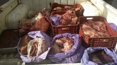 ضبط 60 كيلو لحوم فاسدة بدمياط