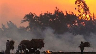 44 % من قراء «فيتو» يتوقعون نجاح «البيئة» في القضاء على السحابة السوداء