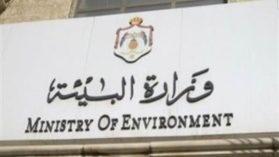 «البيئة» تنقذ سلحفاة وتعيدها إلى البحر في بورسعيد