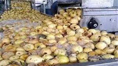 حبس مديرين بمصنع عصائر في الإسماعيلية لحيازتهما جوافة فاسدة