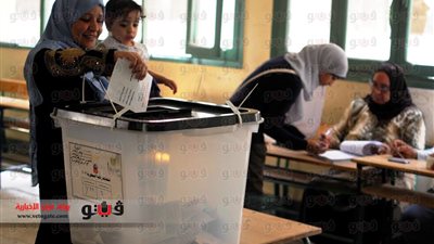 قضاة يكشفون النسب الحقيقية للتصويت في الانتخابات الرئاسية.. 50 % بمدينة نصر.. 41 % بالإسكندرية.. والقليوبية تقترب من 47%.. وبورسعيد تكسر حاجز الـ52%.. والغربية تسجل 48 %