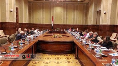 تقصى حقائق 30 يونيو تستقبل وفد الاتحاد الأوربي