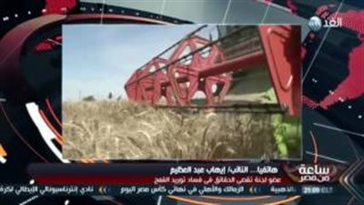 بالفيديو.. برلماني: سحب الثقة من وزير التموين بسبب «فساد القمح»