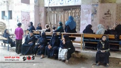 رئيس لجنة في الجيزة: نسبة المشاركة 50%