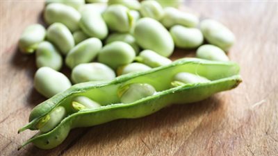 طريقة إعداد الفول الأخضر بـ«اللبن والثوم»