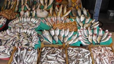 الكابوريا تسجل 37 جنيهًا بسوق العبور