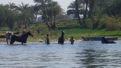 شائعات بتسمم المياه تثير الزعر بـ