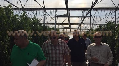 وزير الزراعة يتفقد الصوب الحديثة في المجر