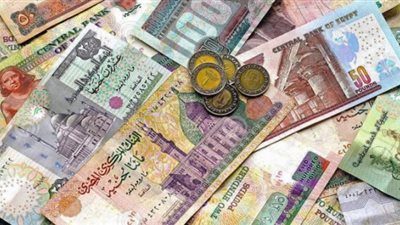 رضا حجاج: «تعويم الجنيه» يهدد تنفيذ المشروعات القومية