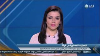 «المرصد»: الجيش السوري يقترب من السيطرة على مدينة الرقة بالكامل