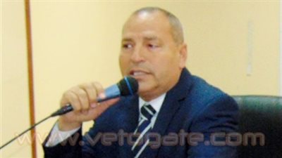 رئيس حي مصر الجديدة: تحرير ٢٨ محضر بيئة للكافيهات المخالفة