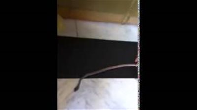 بالفيديو.. مصري يقتل ثعبانا على باب الحرم المكي