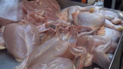 طرح 208 كيلو دواجن بأسعار مخفضة للمواطنين بمغاغة في المنيا