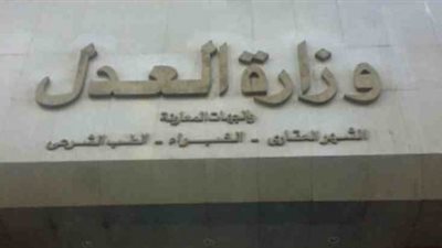 القرارات المنشورة في «الوقائع المصرية» اليوم