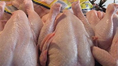 «المجمعات»: مطاعم الجيزة تزاحم المواطنين للحصول على الدواجن