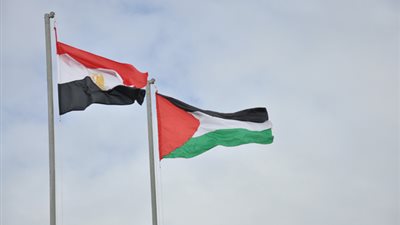 مصر تدعم توريد الكهرباء إلى غزة بـ8.5 ملايين جنيه