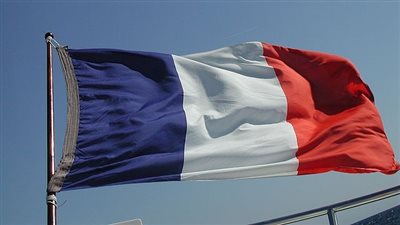 بدء تسجيل المواطنين المصريين بفرنسا فى قاعدة البيانات