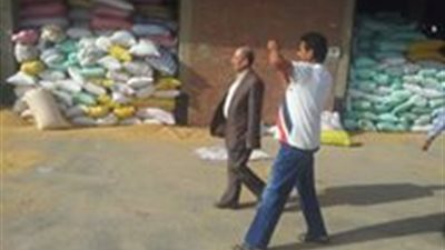 «زراعة الشرقية»: 853 ألف طن قمح إجمالي التوريد للشون
