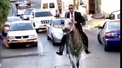 بالفيديو.. عريس يصل إلى منزل عروسه راكبا حصانا وشاهرا سيفا
