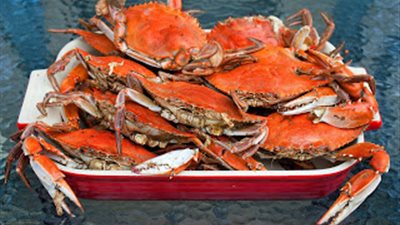 «الكابوريا» تسجل 37 جنيها بسوق الجملة