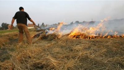 50 جنيها لتحفيز المزارعين على عدم حرق قش الأرز بالشرقية