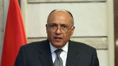 «شكري» يلتقي المبعوث الفرنسي للسلام و«المالكي».. غدا