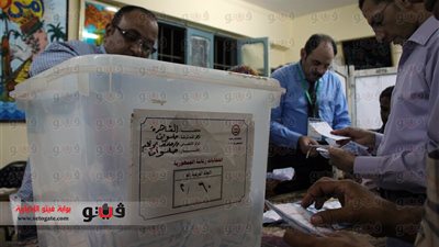 ننشر نتيجة الانتخابات الرئاسية بمركز بلاط بالوادي الجديد