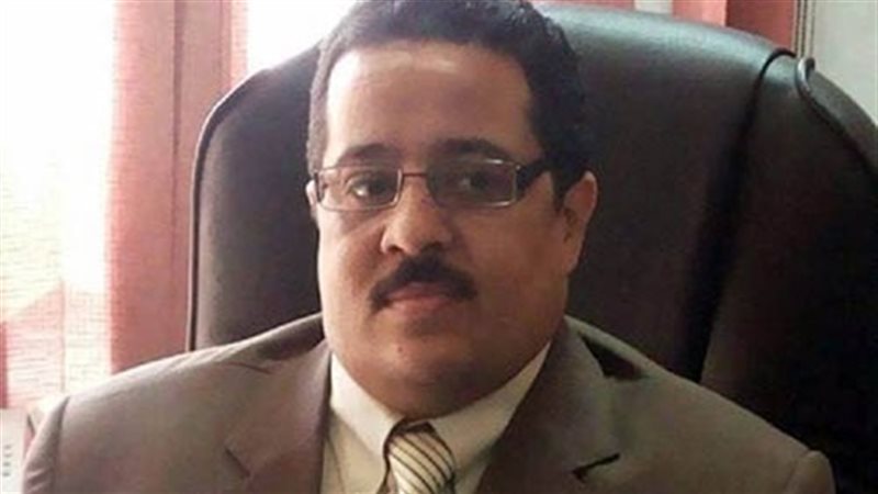 محمد دشناوى، خبير