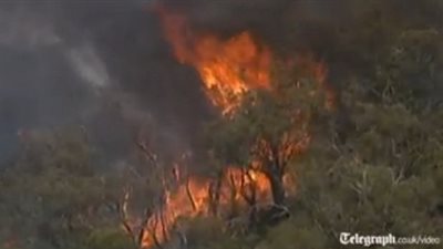 بالفيديو.. انتشار حرائق الغابات فى أستراليا بسبب 