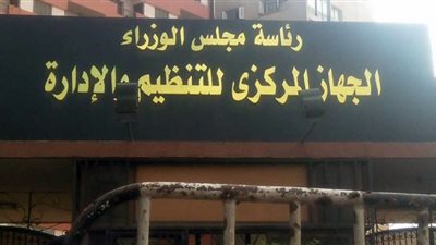 «التنظيم والإدارة» يمنح العاملات بالدولة إجازة خاصة لرعاية الأطفال