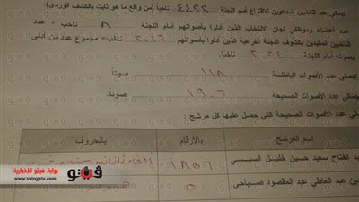 بالمستندات.. 1856 صوتا للسيسي مقابل 50 بالصلب القديمة في التبين